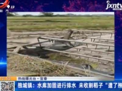 【热线曝光台】宜春·独城镇：水库加固进行排水 未收割稻子“遭了殃”