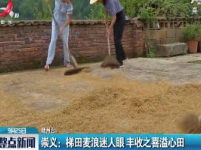 崇义：梯田麦浪迷人眼 丰收之喜溢心田