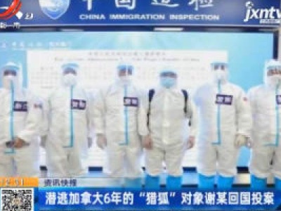 潜逃加拿大6年的“猎狐”对象谢某回国投案