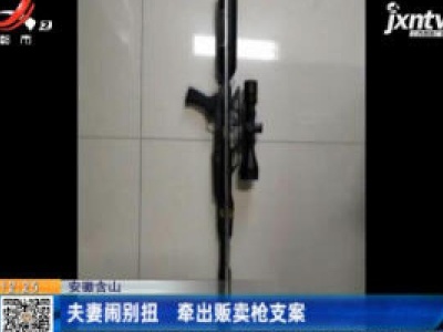安徽含山：夫妻闹别扭 牵出贩卖枪支案