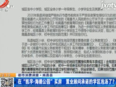 【都市消费调查】南昌县：在“凯宇·海德公园”买房 置业顾问承诺的学区泡汤了？