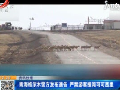 青海格尔木警方发布通告 严禁游客擅闯可可西里
