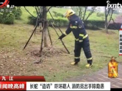 九江：长蛇“造访”吓坏路人 消防员出手除隐患