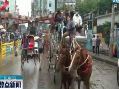 疫情下达卡街头的马车风景线