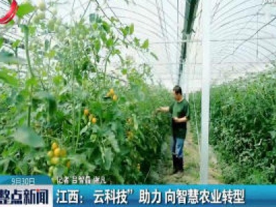 江西：“云科技”助力 向智慧农业转型