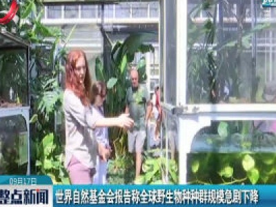 世界自然基金会报告称全球野生物种种群规模急剧下降