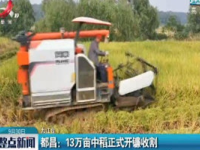 都昌：13万亩中稻正式开镰收割