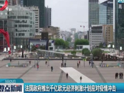 法国政府推出千亿欧元经济刺激计划应对疫情冲击