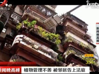 广州：植物管理不善 被邻居告上法庭