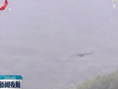 九江：猛禽林雕现身彭泽桃红岭