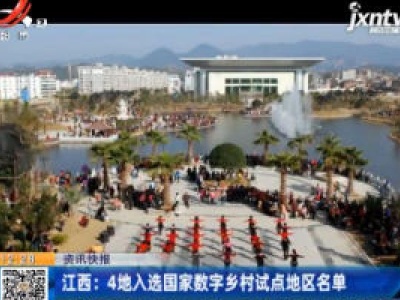 江西：4地入选国家数字乡村试点地区名单