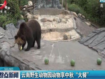 云南野生动物园动物享中秋“大餐”