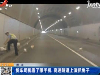 浙江：货车司机看了眼手机 高速隧道上演抓兔子