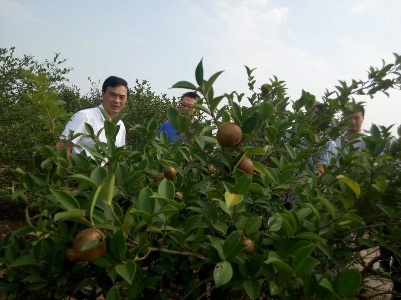 进贤县整合资源逐步打造油茶特色产业