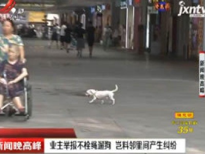 南昌：业主举报不栓绳遛狗 岂料邻里间产生纠纷