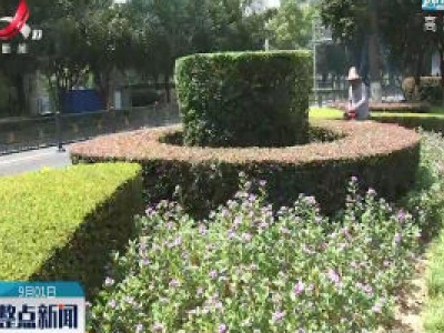 南昌：道路“绿改彩” 城市美不胜收