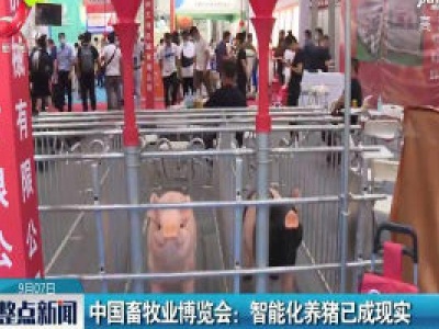 中国畜牧业博览会：智能化养猪已成现实