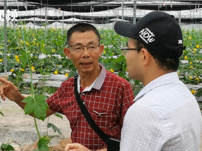 跟着职业菜农学种菜！赣州每年培训5万名新菜农