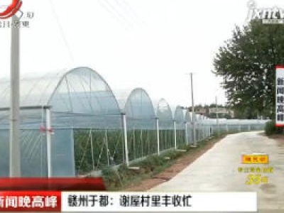 新闻晚高峰20200925