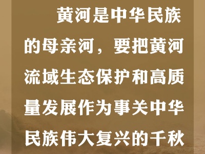 海报丨这项“千秋大计”，习近平提出7个“要”