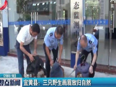 宜黄县：三只野生画眉放归自然