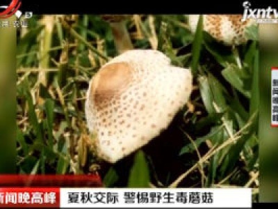 夏秋交际 警惕野生毒蘑菇