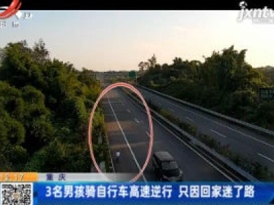重庆：3名男孩骑自行车高速逆行 只因回家迷了路