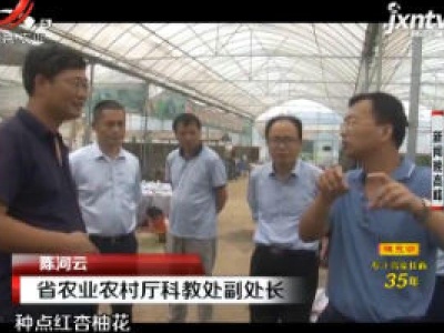 新闻晚高峰20200917