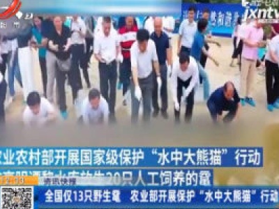 全国仅13只野生鼋 农业部开展保护“水中大熊猫”行动