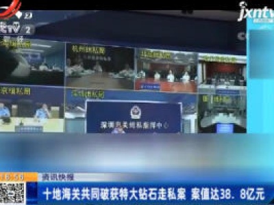 十地海关共同破获特大钻石走私案 案值达38.8亿元