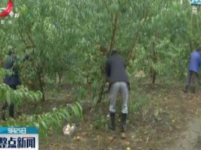 九江：发展产业基地 脱贫注入活力
