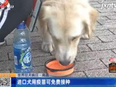 【世界狂犬病日】南昌：进口犬用疫苗可免费接种