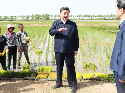 联播+丨关心“三农” 习近平把这点放在第一位