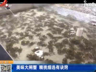 美味大闸蟹 精挑细选有诀窍