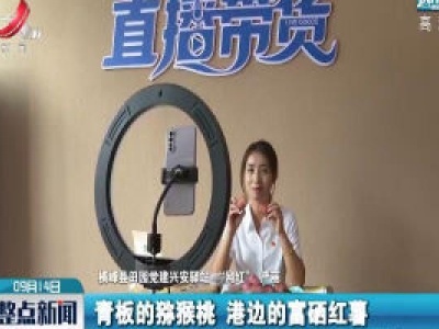 横峰：党建网格员直播带货