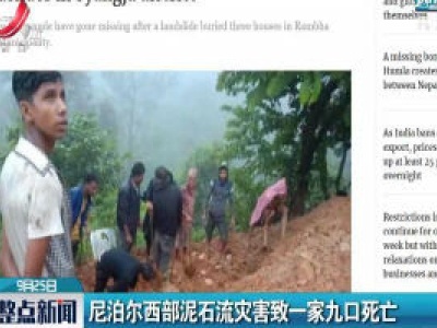 尼泊尔西部泥石流灾害致一家九口死亡