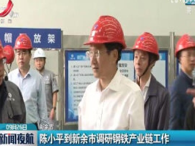陈小平到新余市调研钢铁产业链工作