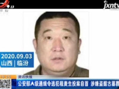 公安部A级通缉令逃犯程麦生投案自首 涉嫌盗掘古墓葬