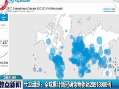 世卫组织：全球累计新冠确诊病例达28918900例