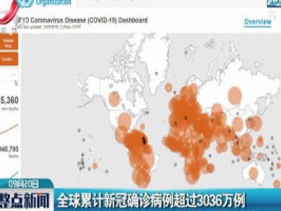 全球累计新冠确诊病例超过3036万例