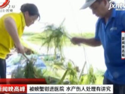 广东：被螃蟹钳进医院 水产伤人处理有讲究