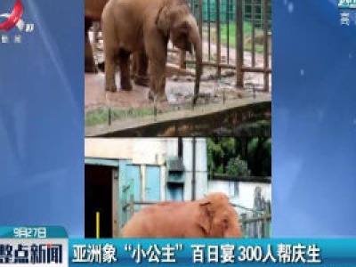 云南：亚洲象“小公主”百日宴300人帮庆生