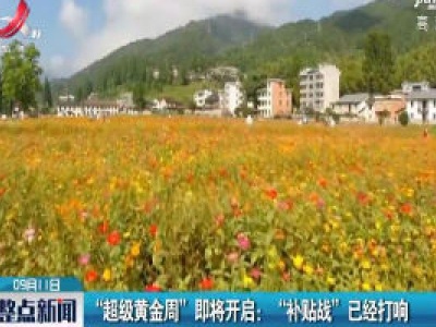 “超级黄金周”即将开启：“补贴战”已经打响