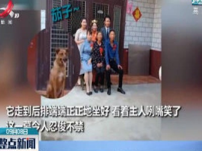 河南：拍全家福 它混入其中申请入镜