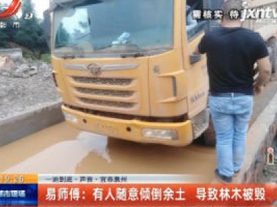 【一追到底·声音】宜春袁州·易师傅：有人随意倾倒余土 导致林木被毁