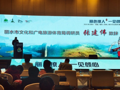 2020丽水四县联合文化旅游推介会在江西南昌举行