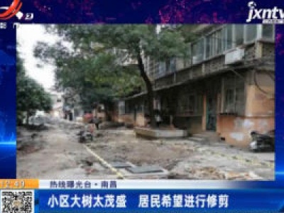 【热线曝光台】南昌：小区大树太茂盛 居民希望进行修剪