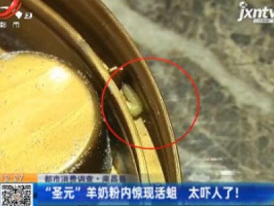 【都市消费调查】南昌县：“圣元”羊奶粉内惊现活蛆 太吓人了！