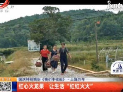 【国庆特别策划《我们丰收啦》】上饶万年：红心火龙果 让生活“红红火火”