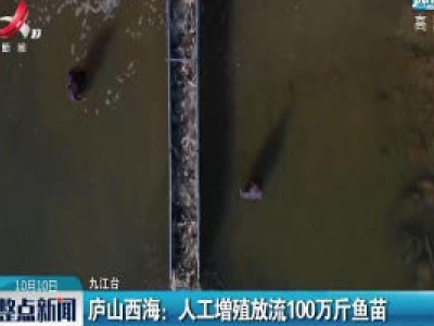 庐山西海：人工增殖放流100万斤鱼苗